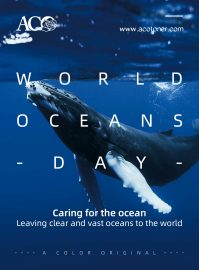 World Oceans Day