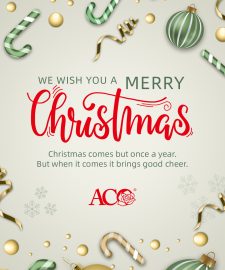 2021-Merry Christmas