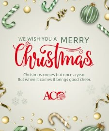 2021-Merry Christmas