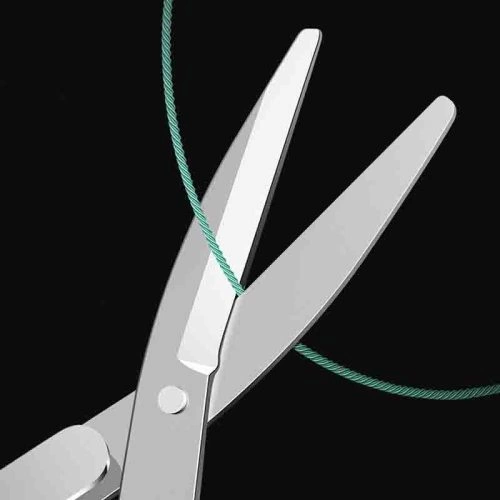 Scissors – ACODSSS22