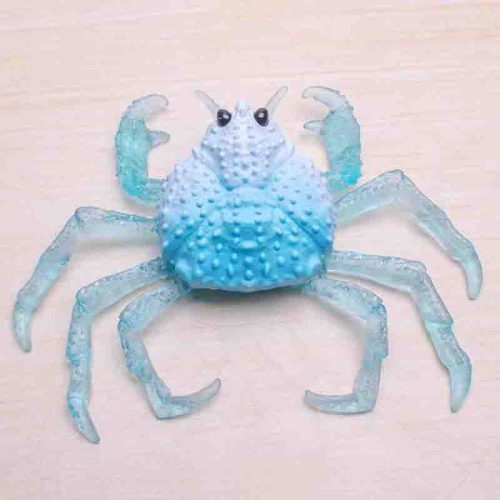 Stress Relief Toys – ACOOSMY3