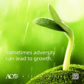 More Firmware Updates